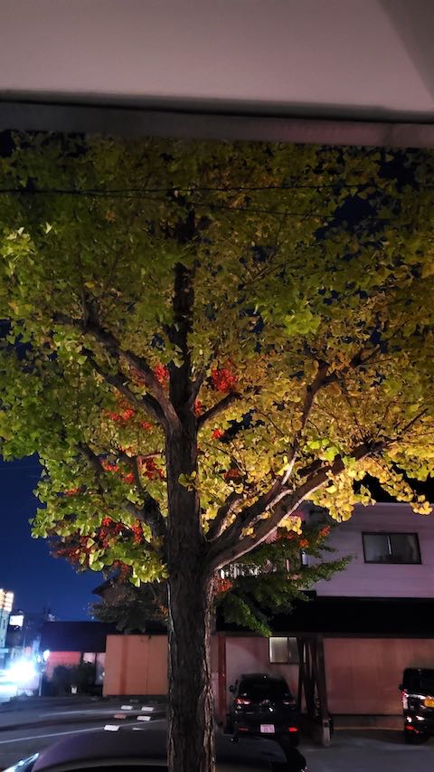 20221013ͻΤϤẢ祦ڤŤϤ