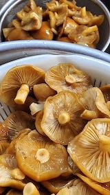 20221105ߥʡ´餤ʥᥳ