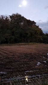 20221105ͻҤޤĤ1