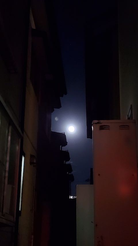 202211081