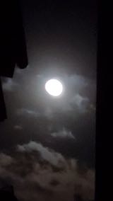 202211085