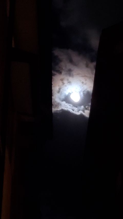 202211082