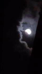202211087 hspace=