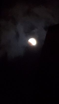 202211089
