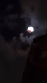 2022110811