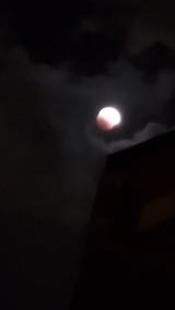 2022110812