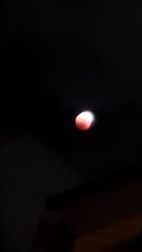 2022110813