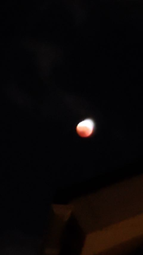 2022110815