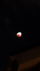 2022110814 hspace=