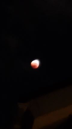 2022110816