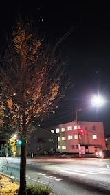 20221110ͻΤϤẢ1
