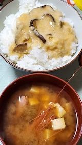 20221213դƦ٤ȥӤΤߤ