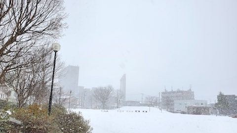 20221230速歩途中の公園内と北の空猛吹雪