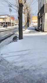 20230107外の様子昼前歩道1