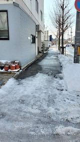 20230107外の様子昼前歩道2