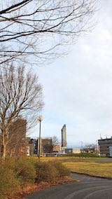 20230115速歩途中の公園内と北の空