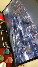 20230201NHKƥӽĻͻ