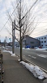 20230224外の様子夕方歩道と東大通り1