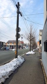 20230224外の様子夕方歩道と東大通り3