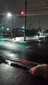 20230224外の様子夜遅く雨が降り出す2