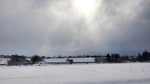 20230225山へ向かう途中の田んぼと空