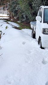 20230225山の様子雪で車は上れず” hspace=