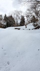 20230225山の様子ラベンダーの畑へと向かう急な坂道