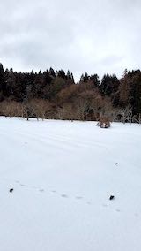 20230225ラベンダー畑” hspace=