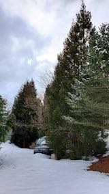 20230225山の様子1