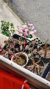 20230315暖かな日差しの中で