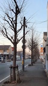 20230315外の様子夕方歩道と東大通り3