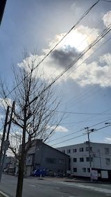 20230317ͻ᤮ƻ̤1