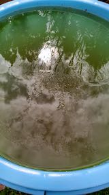 20230319Ҥäμ3 hspace=