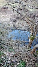 20230329ͻҤĤʪδ߸1