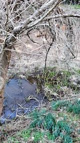 20230329ͻҤĤʪδ߸2