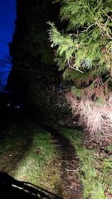 20230329ͻҤĤʪδ߸3