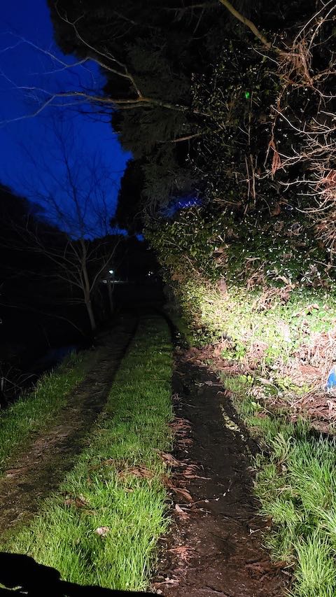 20230329ͻҤĤʪδ߸4