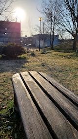 20230330速歩途中の公園内と東の空