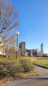 20230330速歩途中の公園内と北の空