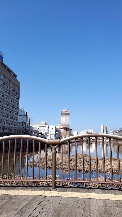 20230330外の様子朝千秋公園お堀