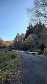 20230330山へ向かう途中の峠道