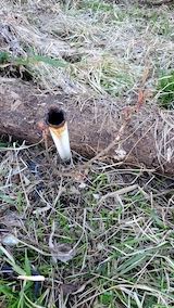 20230330山の様子シャクヤクの下草刈り後2