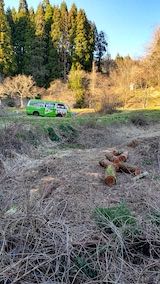 20230330山の様子つる性植物の刈り込み前