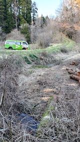20230330山の様子つる性植物の刈り込み後