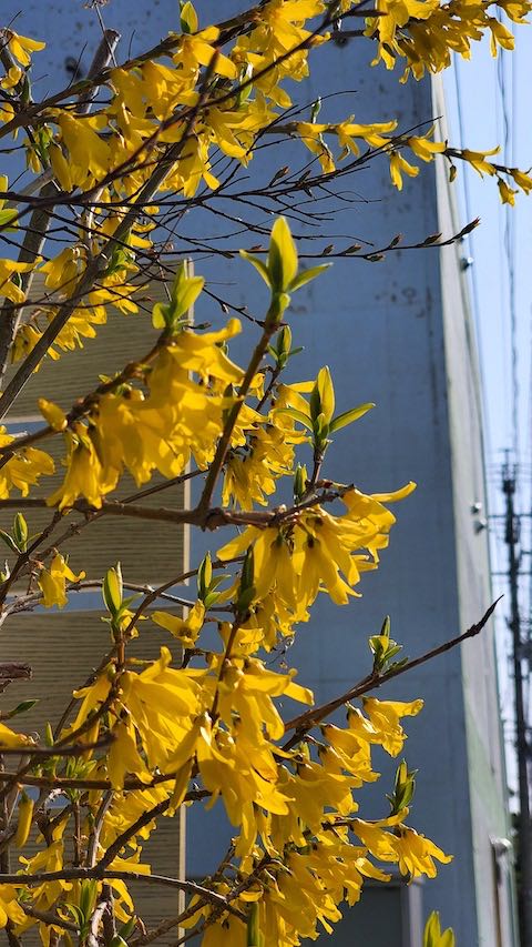 20230331ͻī󥮥祦β