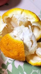 20230331դν㤵󤫤ϤŲơ hspace=