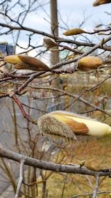 20230401®˾⥯ΤĤܤ