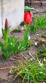 20230401®εƻ˾塼åפβ