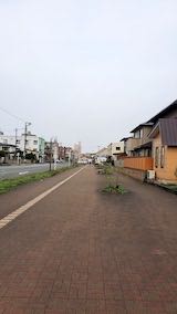 20230415速歩へ向かう途中の広い歩道と西の空