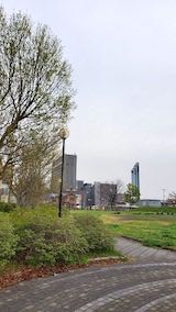 20230415速歩途中の公園内と北の空